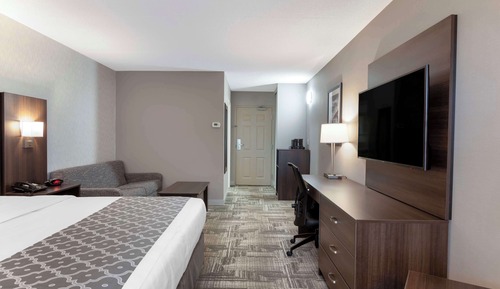 Standard Room, 1 King Bed, Non Smoking, Refrigerator & Microwave (with Sofabed)