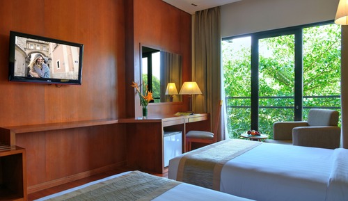 Deluxe Twin Room with Balcony