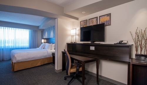 Room, 1 King Bed with Sofa bed (Mobility/Hearing Access, Roll-In Shwr)