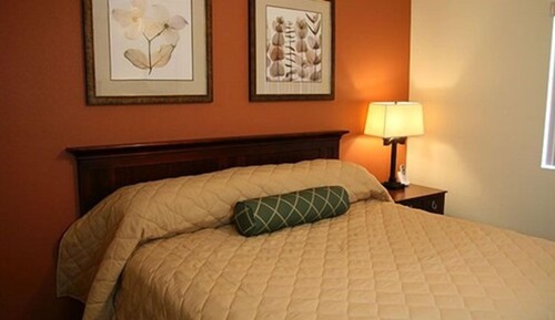 Suite, 1 King Bed with Sofa bed