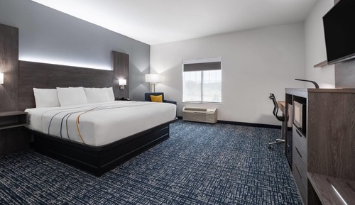 Room, 1 King Bed, Roll-in Shower, Non Smoking (Mobility Accessible)