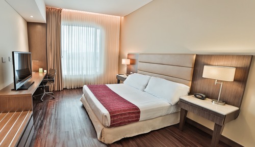 Standard Room, 1 Queen Bed, Accessible