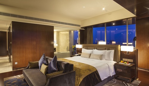 Superior Suite (Living Area)