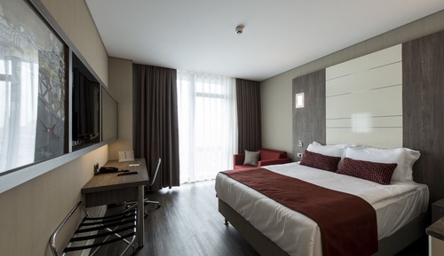Room, 1 Queen Bed, Smoking