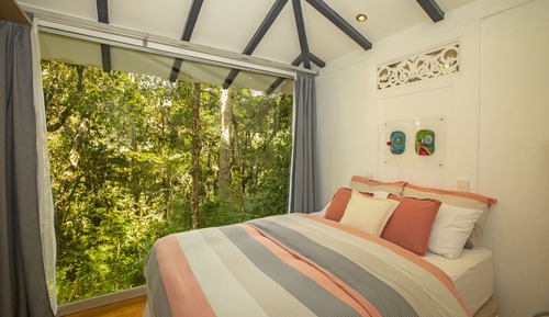 4-Person Forest Bungalow