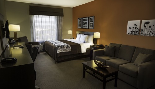 Room, 1 King Bed, Accessible, Non Smoking