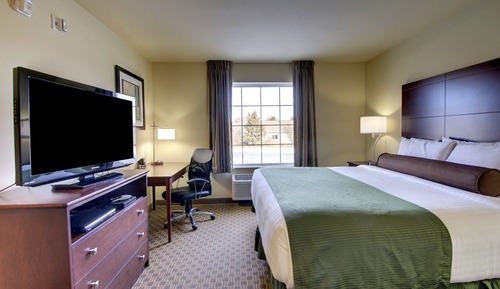 Room, 1 King Bed, Accessible, Non Smoking