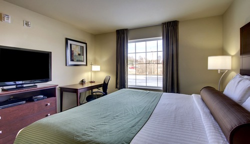 Room, 1 King Bed, Non Smoking