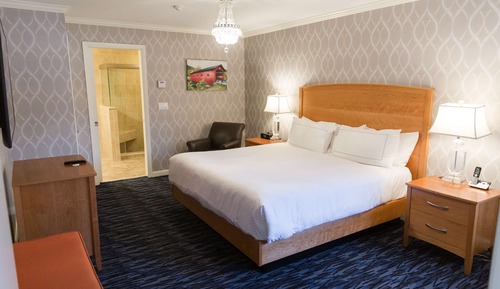 Room, 1 Queen Bed