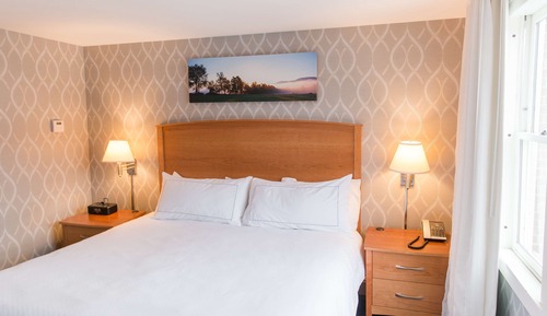 Suite, 1 Bedroom