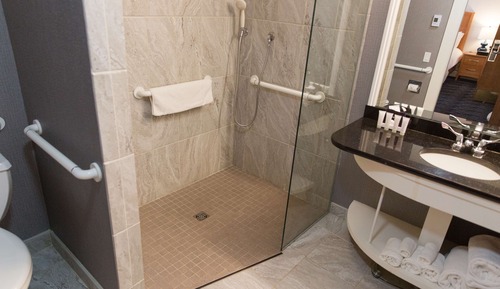 Deluxe Room, 1 King Bed, Accessible (Roll-In Shower)