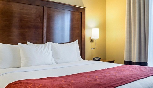 Suite, 1 King Bed with Sofa bed, Accessible, Non Smoking