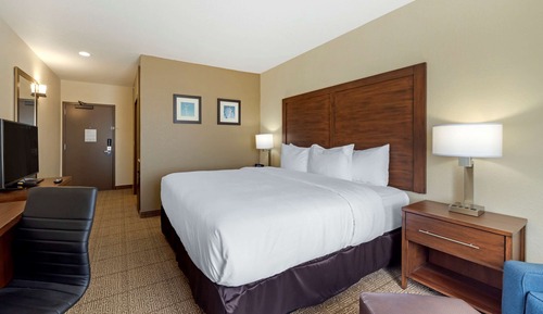 Room, 1 King Bed, Non Smoking