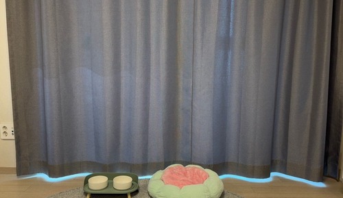 Pet Studio