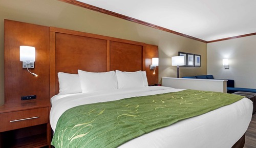 King Bed Suite