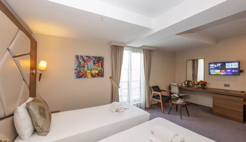 Standard Twin Room