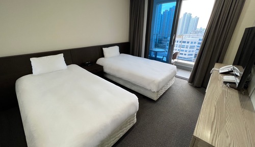 Deluxe Twin (City View)