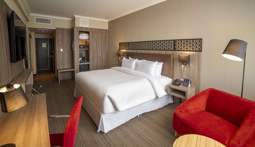 Room, 1 King Bed