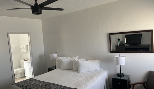 Single Room, 1 King Bed