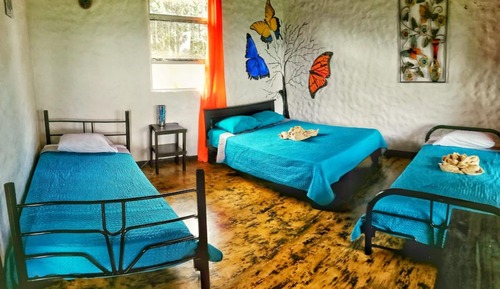 Family Quadruple Room, 1 Bedroom