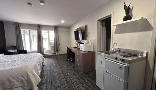 Standard Room, 1 King Bed, Non Smoking, Kitchenette (with Single Sofabed)