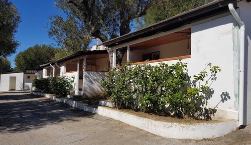 Standard Bungalow