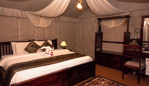 Luxury Camp