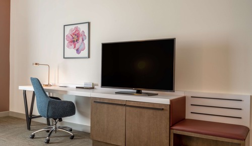 Room, 1 King Bed, Accessible (Roll-In Shower)