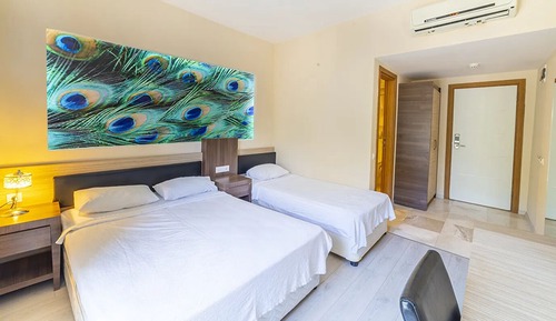 Standard Room, Pool View