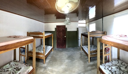 Economy Shared Dormitory