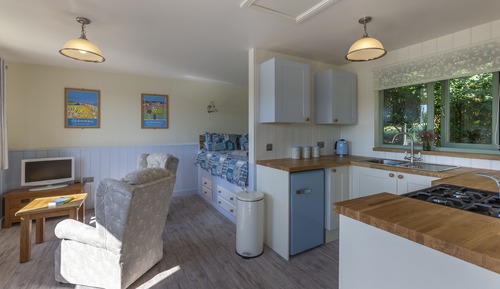 Studio, 1 King Bed (Sandpiper)