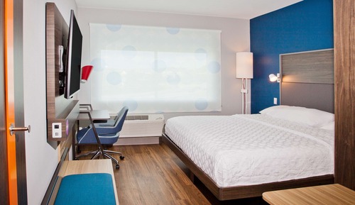 Room, 1 King Bed