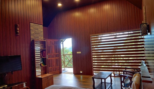 Premium Room, 1 King Bed, Mountain View