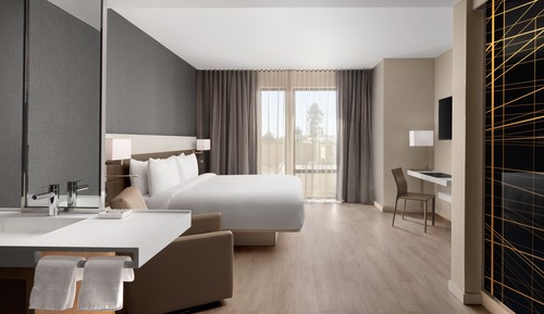 Room, 1 King Bed, Courtyard View (Mobility/Hearing Access, Roll-In Shwr)