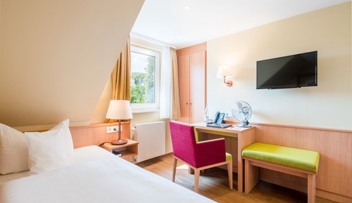 Economy Single Room