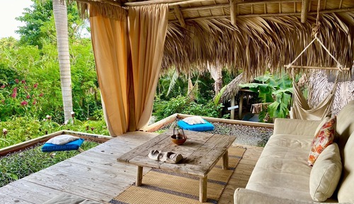 Mango Suite