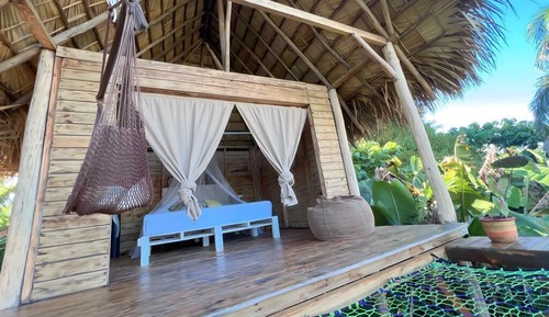 Standard Tree House