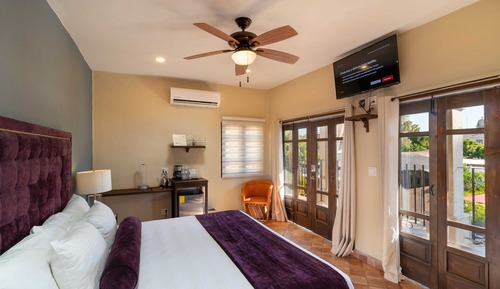 Premium Room, 1 King Bed, Non Smoking, Pool View