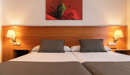 Standard Double or Twin Room, 1 Double or 2 Twin Beds (2 adults)