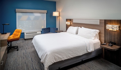 Standard Room, 1 King Bed, Accessible (Communications, Roll In Shower)