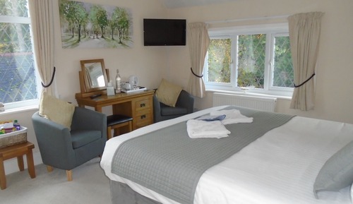Standard Double or Twin Room (Room 4)