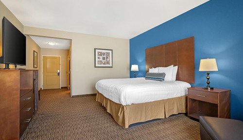 Standard Room, 1 King Bed, Accessible, Non Smoking (Walk-in Shower)