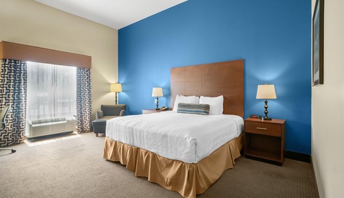 Standard Room, 1 King Bed, Accessible, Non Smoking