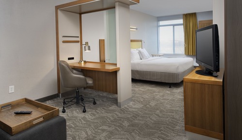 Studio, 1 King Bed with Sofa bed (Mobility/Hearing Accessible, Tub)