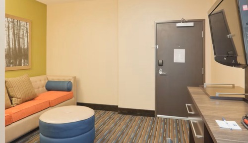 Suite, 1 King Bed with Sofa bed