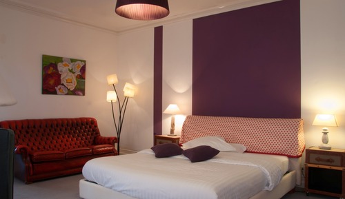 Single Junior Suite
