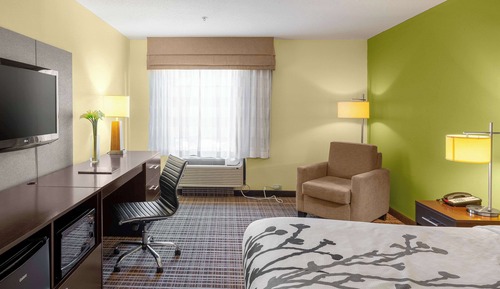 Standard Room, 1 King Bed, Non Smoking