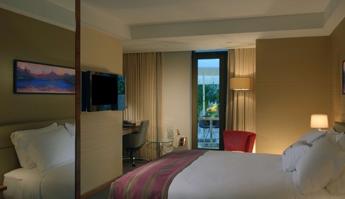 Room, 1 King Bed, Terrace