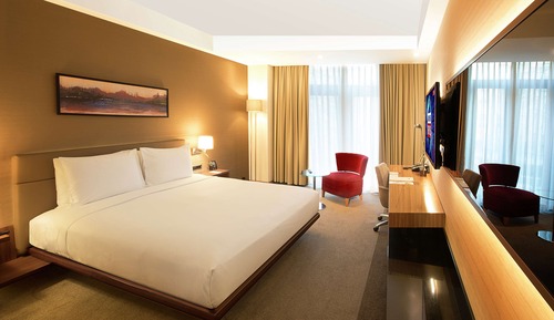 Room, 1 King Bed