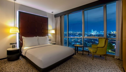 Room, 1 King Bed